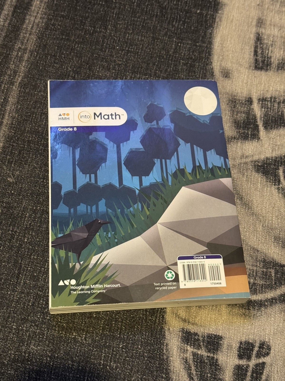 into Math Bundle Teacher Edition Grade 8 Volume 1 & 2 bundle with bonus workbook