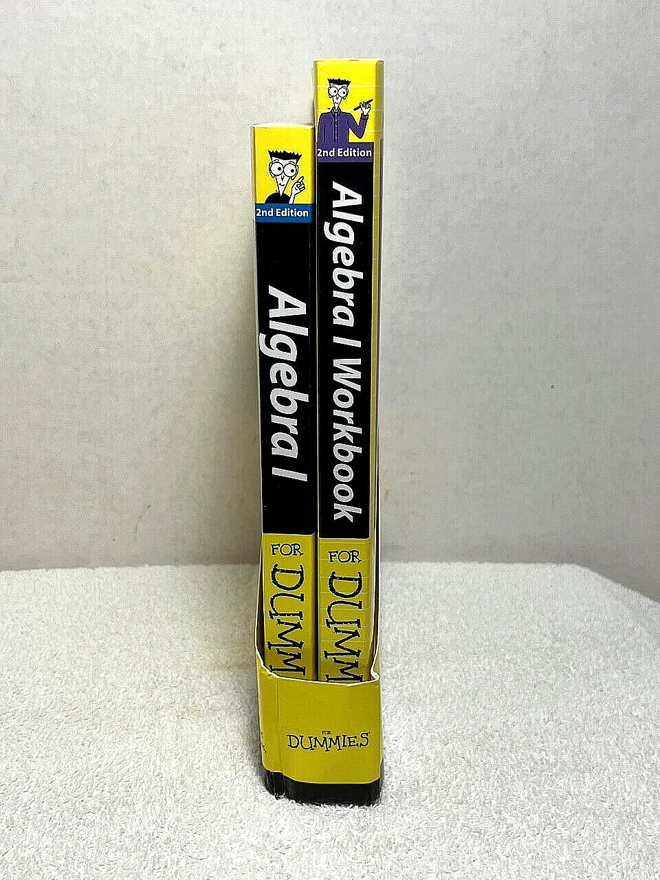 2 Bk Set ALGEBRA 1 FOR DUMMIES and WORKBOOK Sterling w/ Sleeve Math BRAND NEW