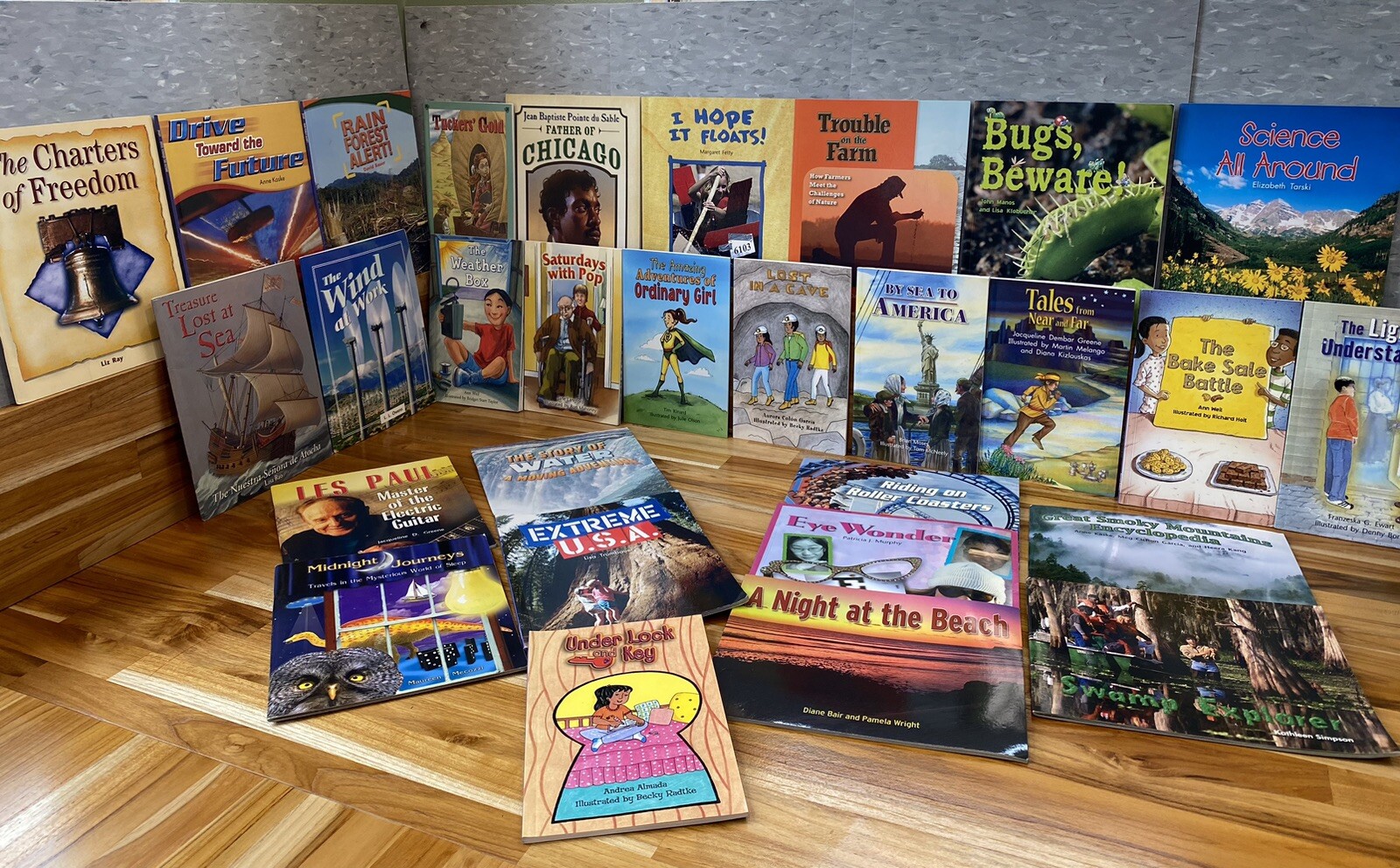 Set of 29 RIGBY Grade 4 Leveled Readers Guided Reading Levels Q, R, S, T Books