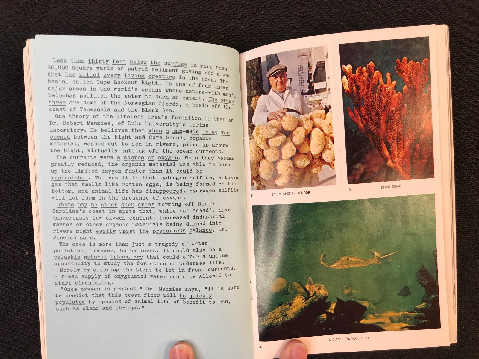 Science Service Science Program Books 5