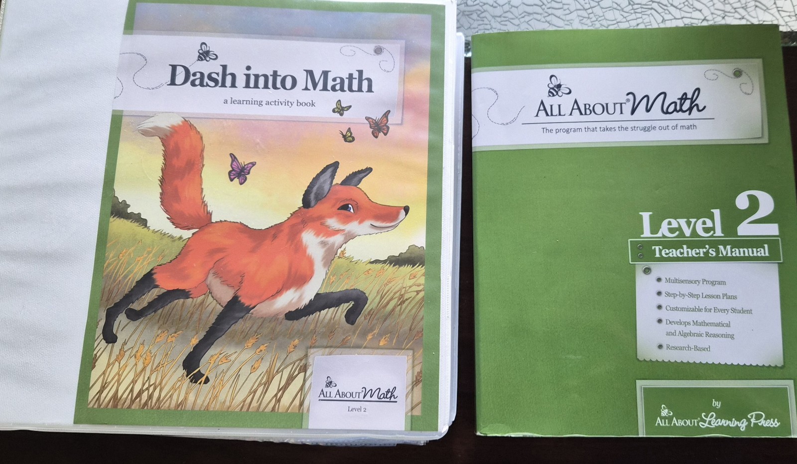 All About Math Level 2 Teacher’s Manuel And Student Activity Book Pre-prepped