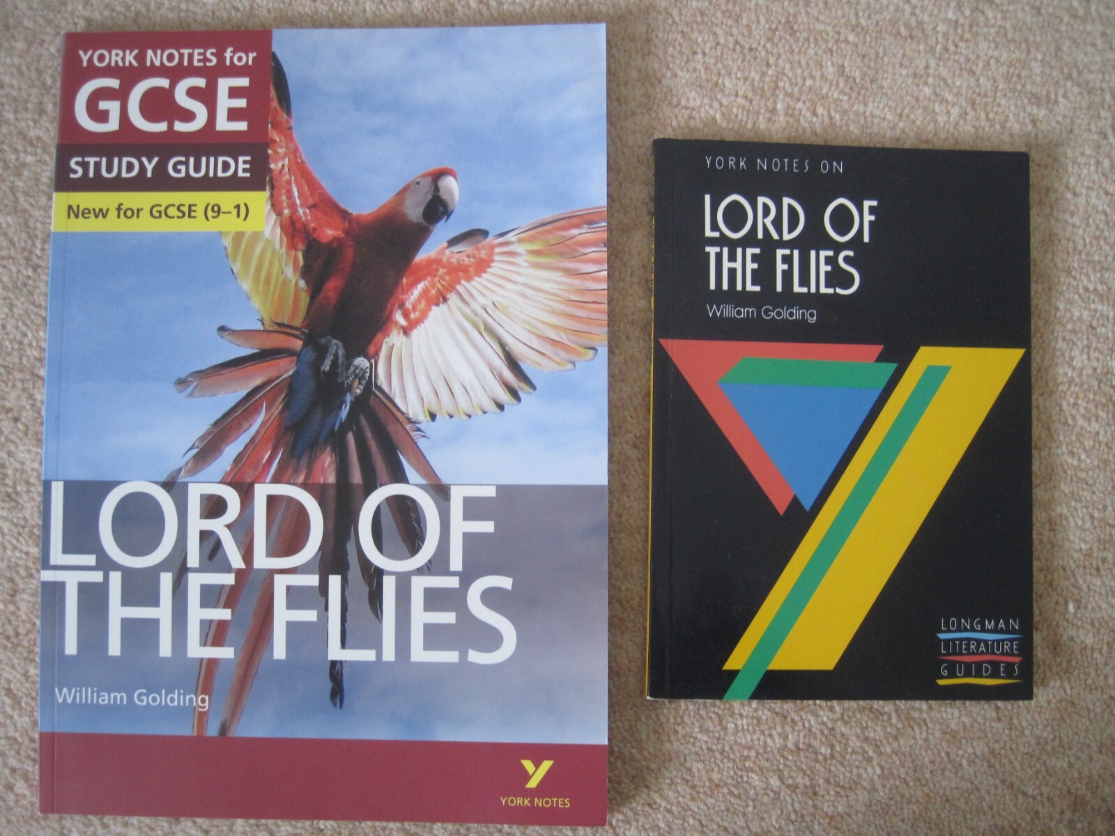 York Notes Lord of the Flies by William Golding GCSE study guides