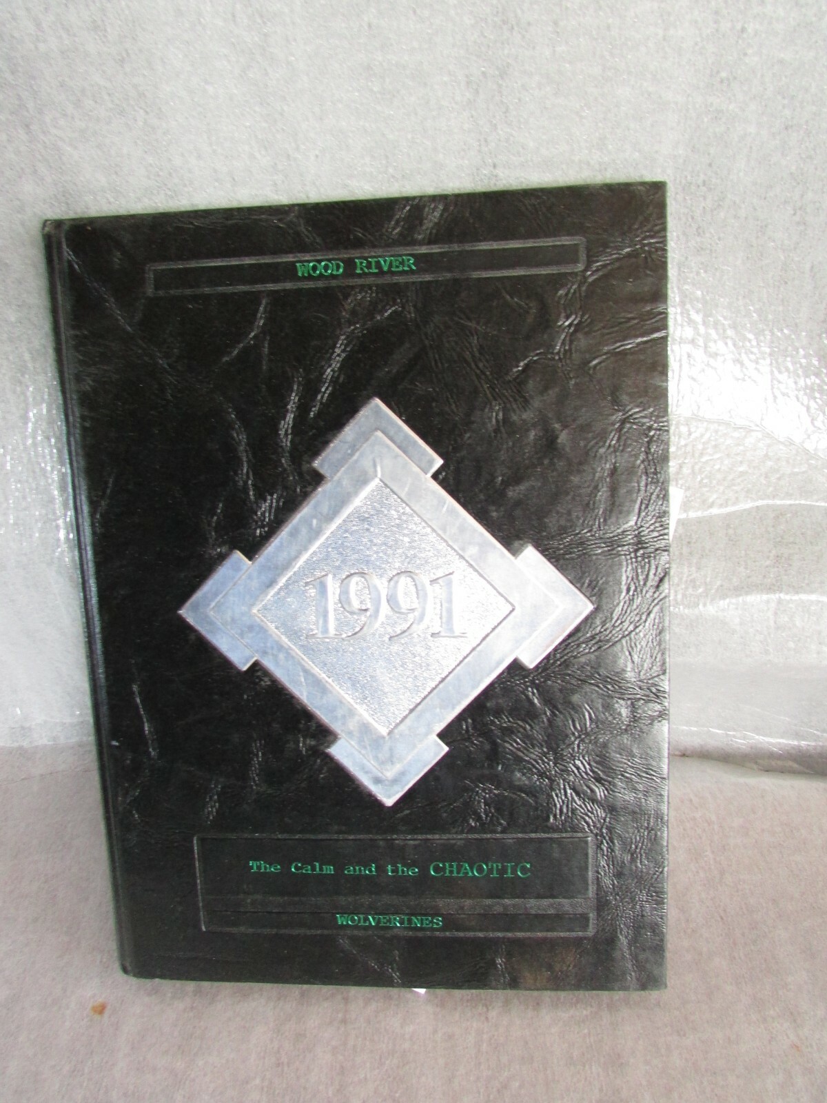 91 1991 YEARBOOK WOOD RIVER JR HIGH SCHOOL HAILEY IDAHO
