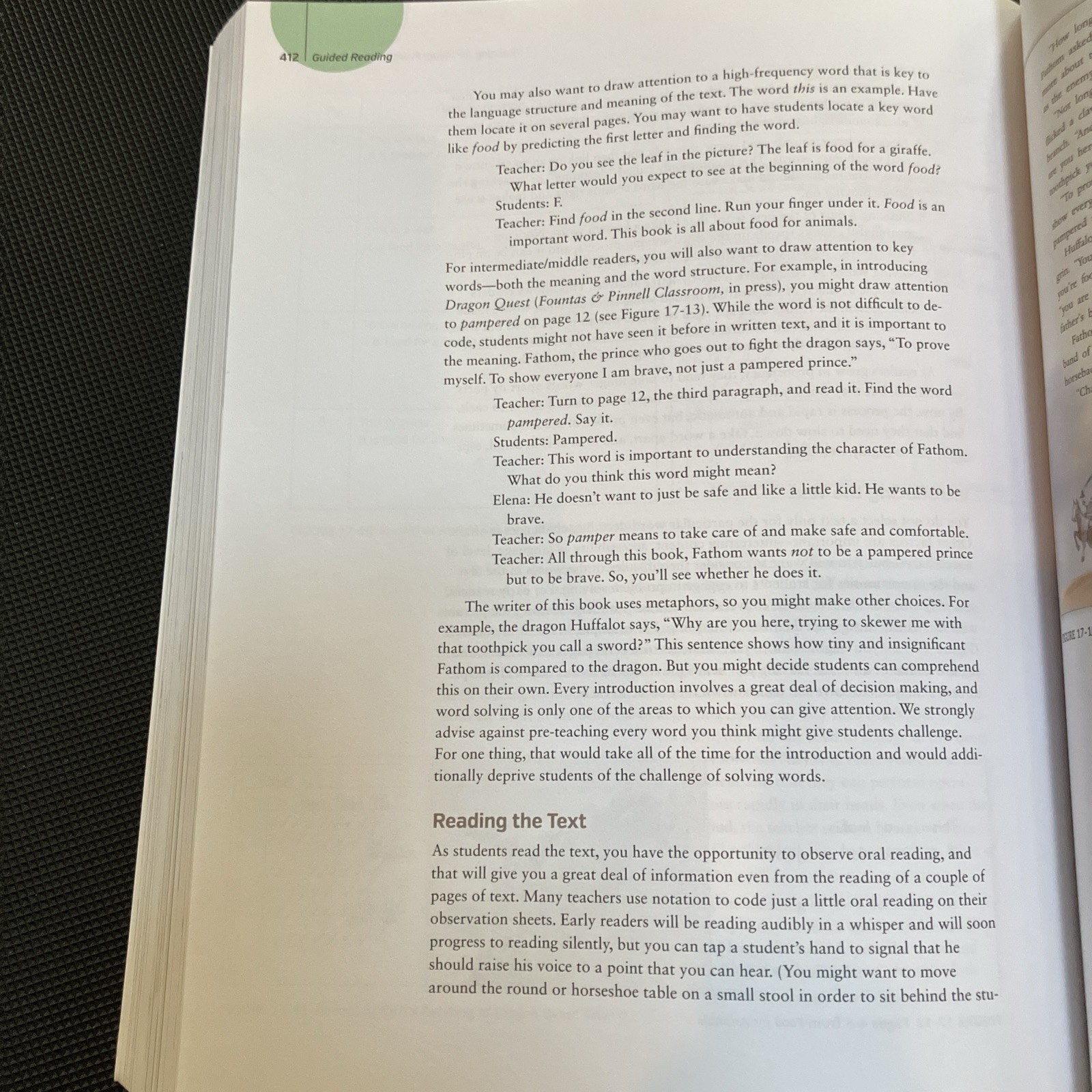 Guided Reading Ser.: Guided Reading : Guided Reading, Second Edition by Gay…