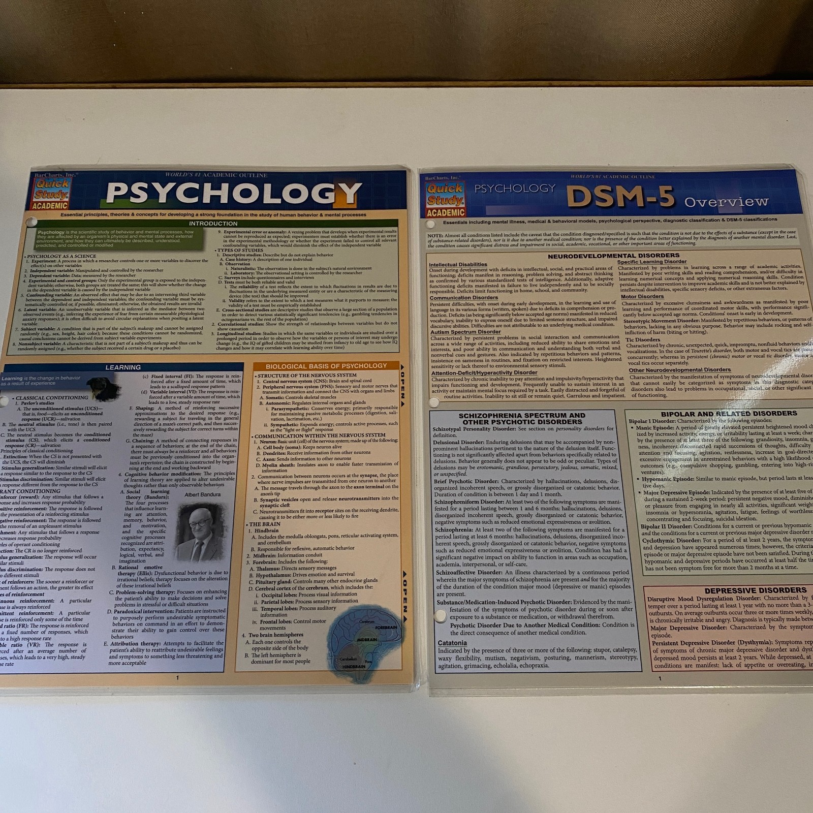 Set of 2 Psychology Quick Study Guides DSM-5 & General Overview