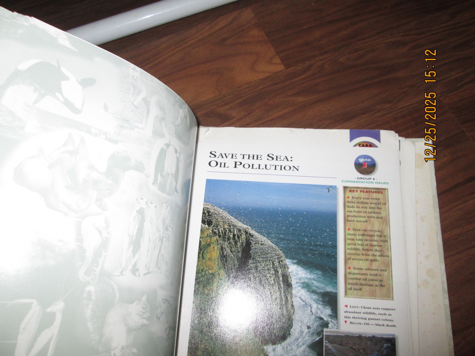 Wildlife Explorer Book Binder
