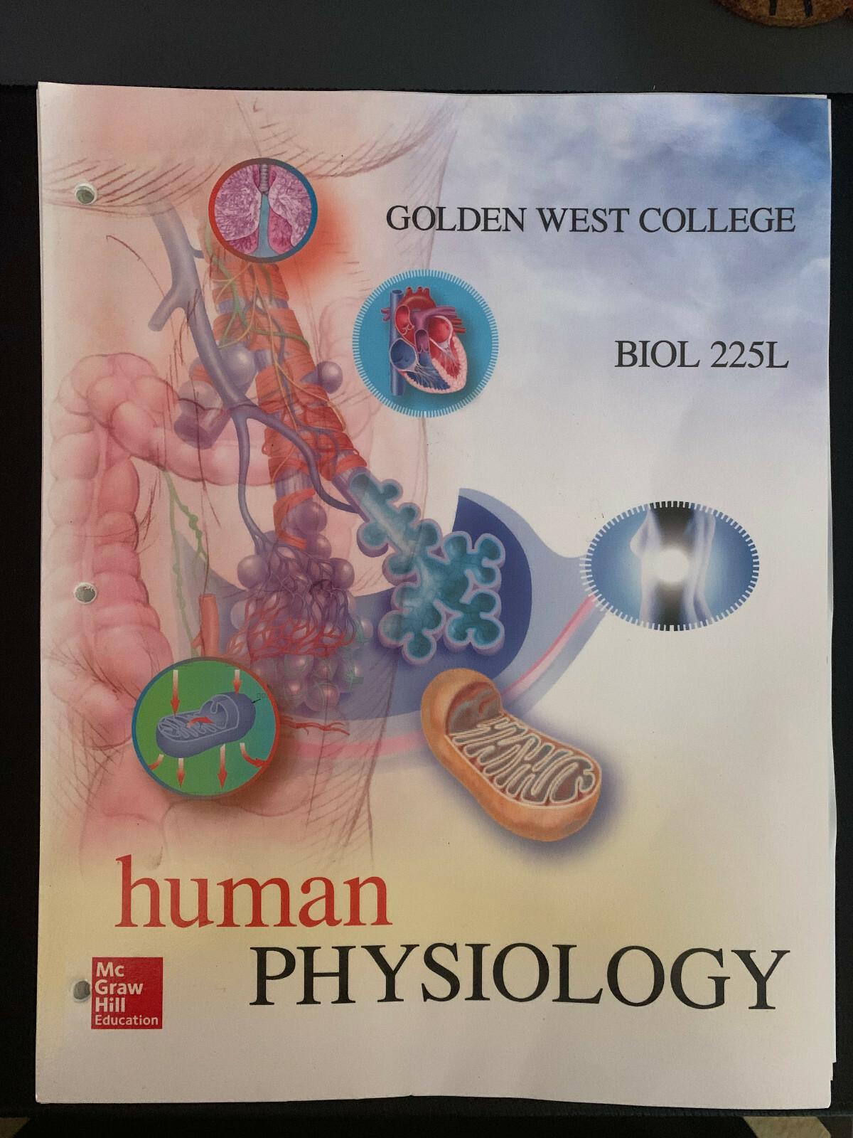 HUMAN PHYSIOLOGY BIOL 225L Golden West College 1260029034