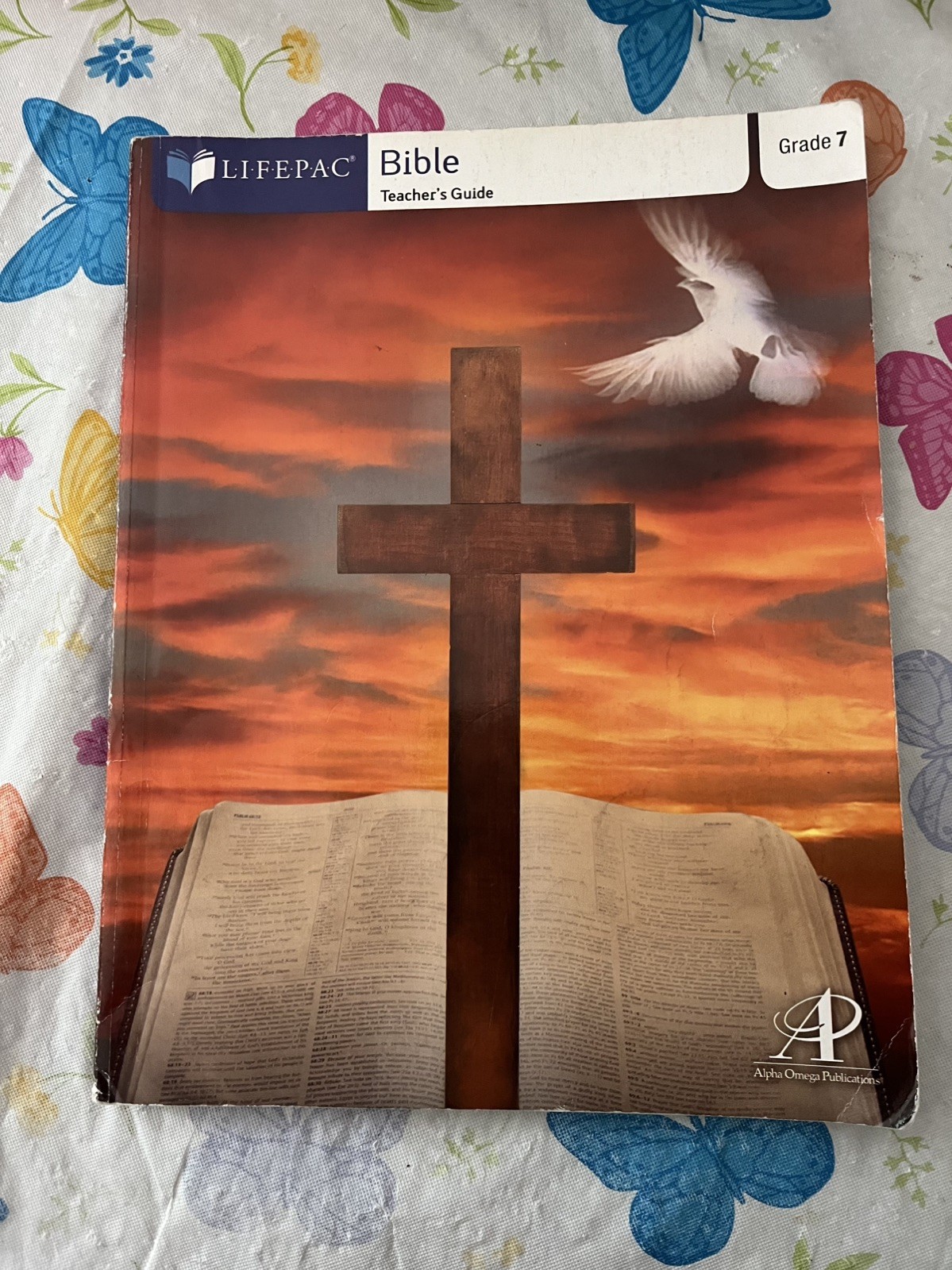 Lifepac Bible Grade 7 Teacher’s Guide