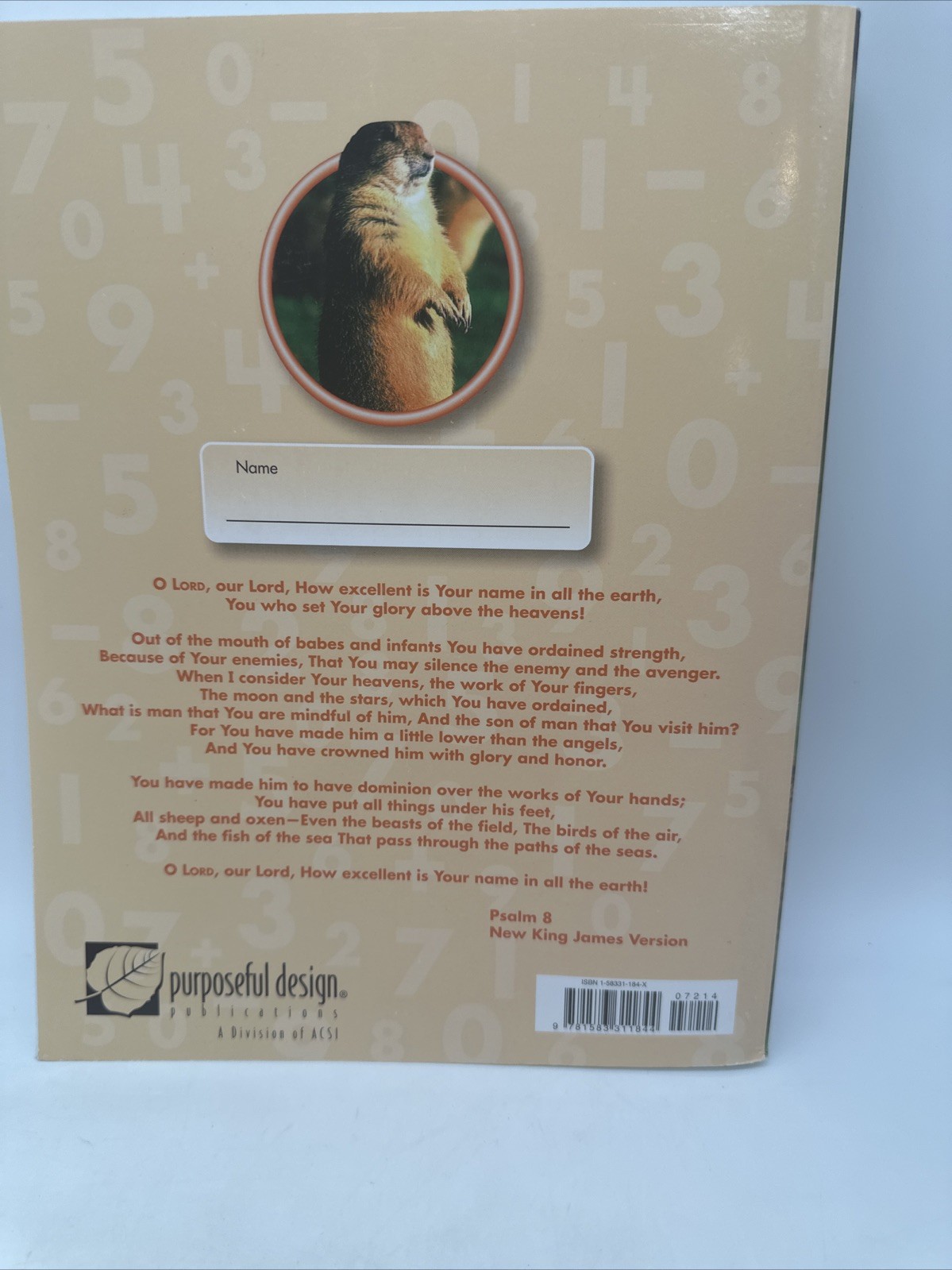 Purposeful Design Mathematics Grade 3 Student (Updated 2005) 3rd Grade Math NEW