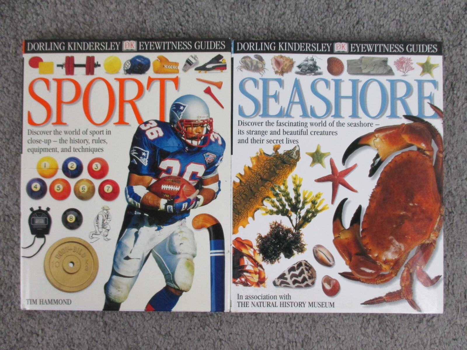 Seashore & Sport Eyewitness Guides Tim Hammond DK Children’s Books