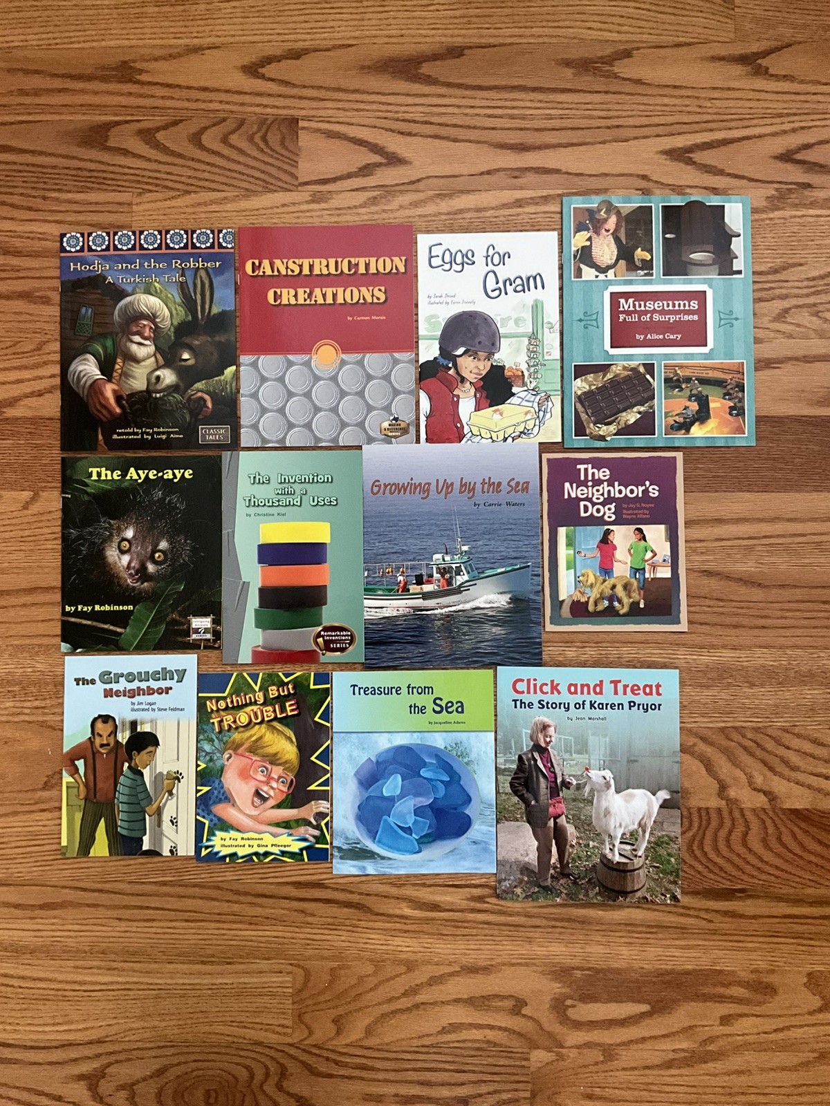 FOUNTAS & PINNELL Grade 2 Level J Guided Reading Books Leveled Readers