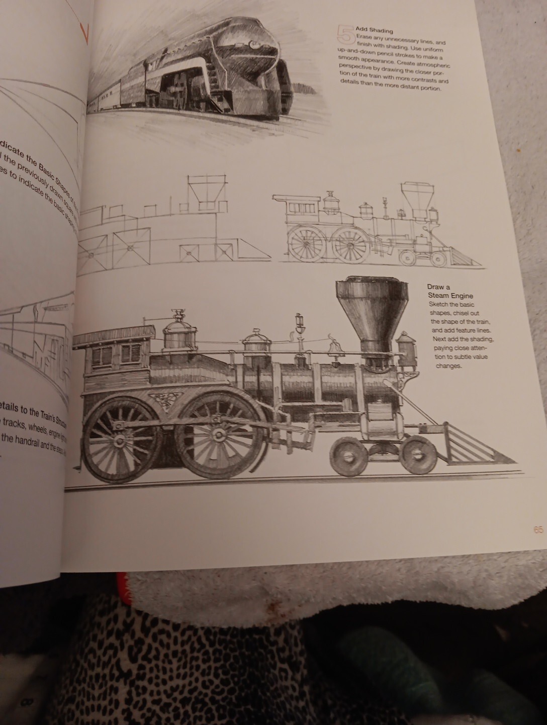 Drawing for the Absolute Beginner A clear and easy guide to successful drawing