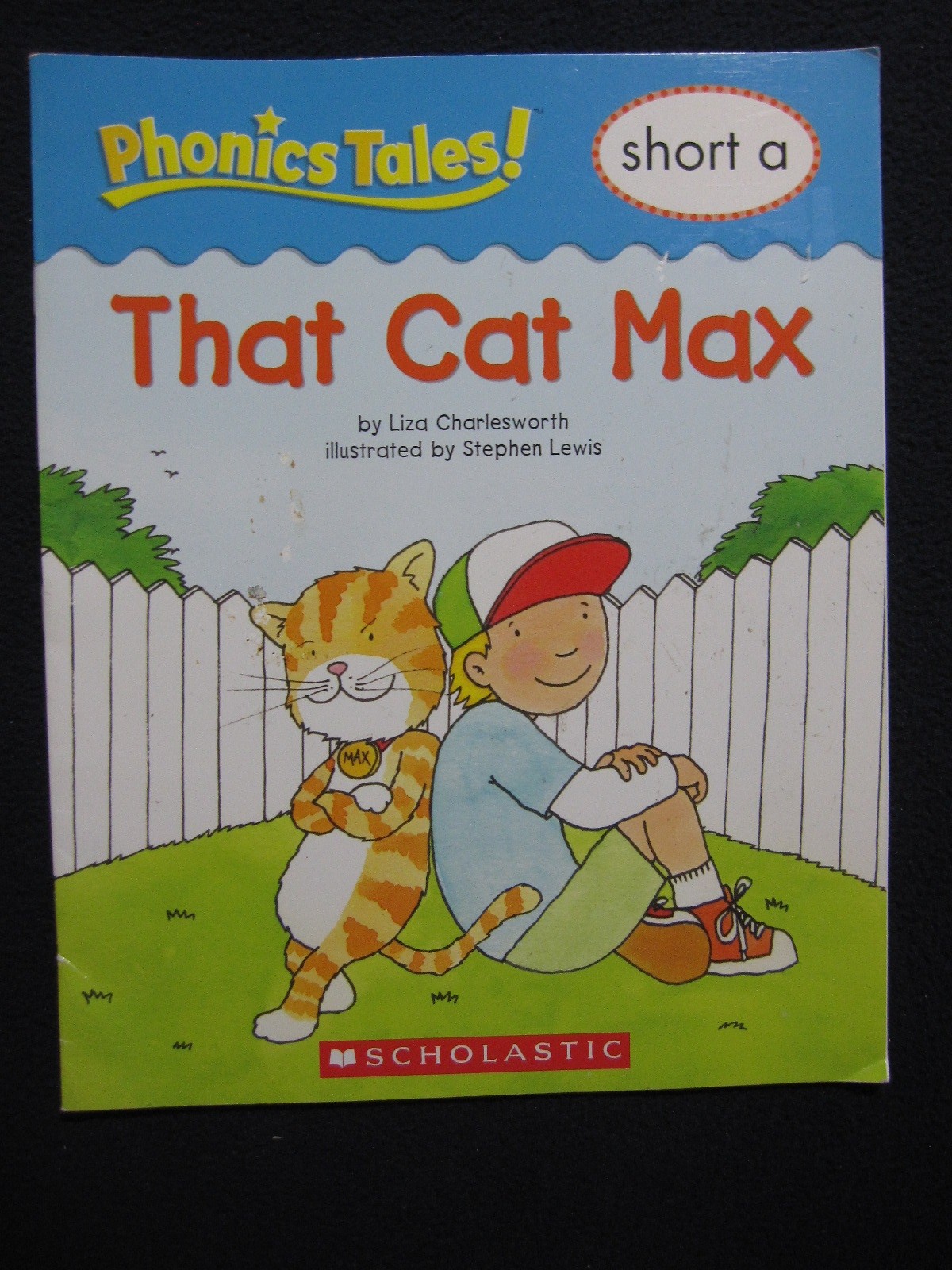 Phonics Tales: That Cat Max (Short A) [Jan 01, 1948] Liza Charlesworth and Ste..