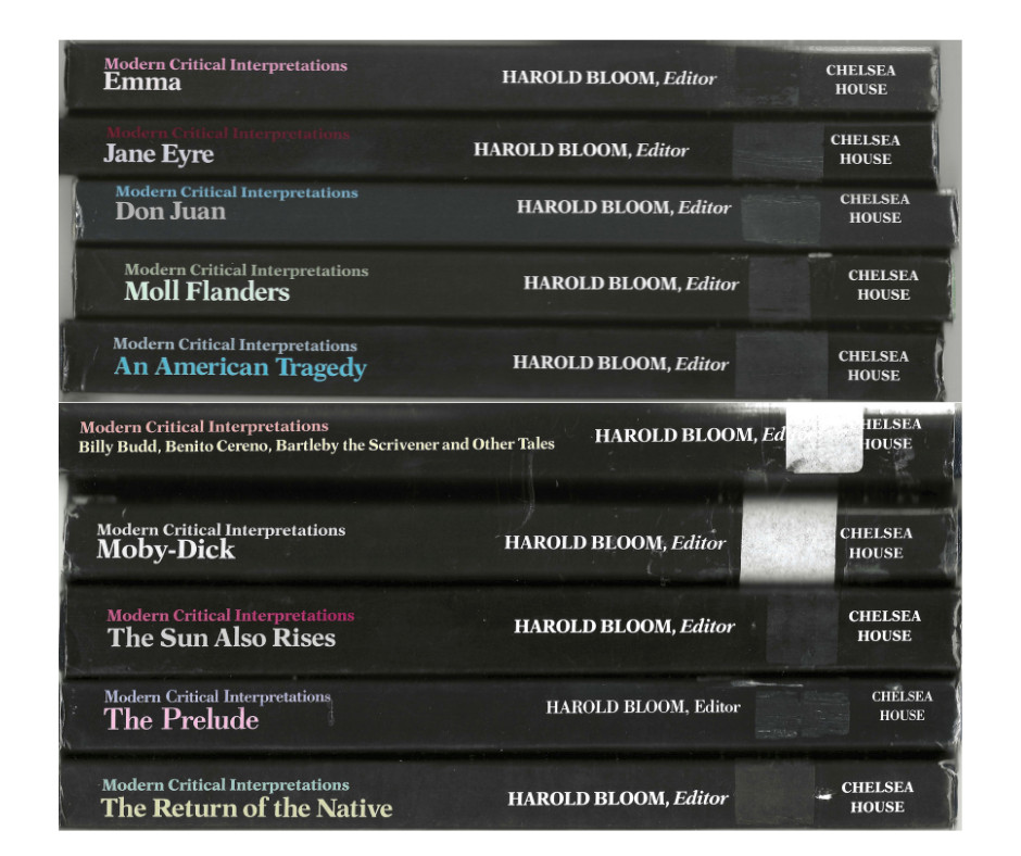 Modern Critical Interpretations Books Series Study Guide Harold Bloom Hardcover