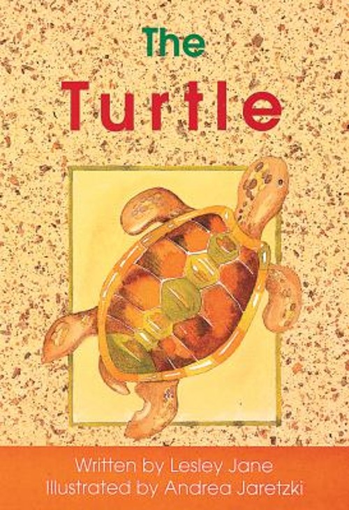 Foundations, the Turtle Paperback Lesley Jane