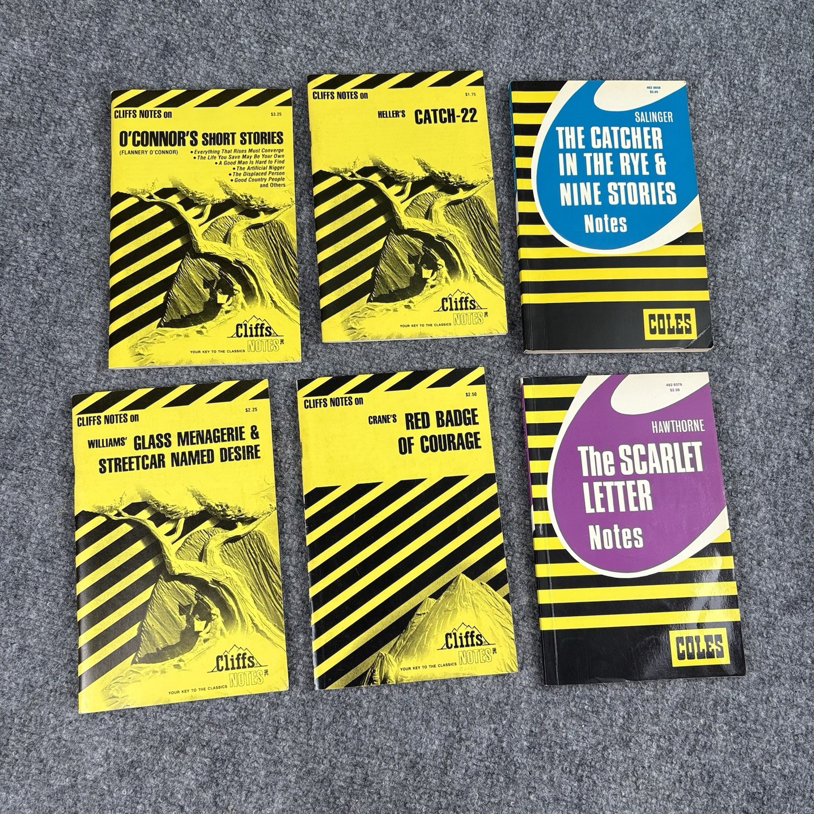 Lot Of 6 VTG Cliffs Notes Coles Notes Catch-22 Scarlet Letter Red Badge