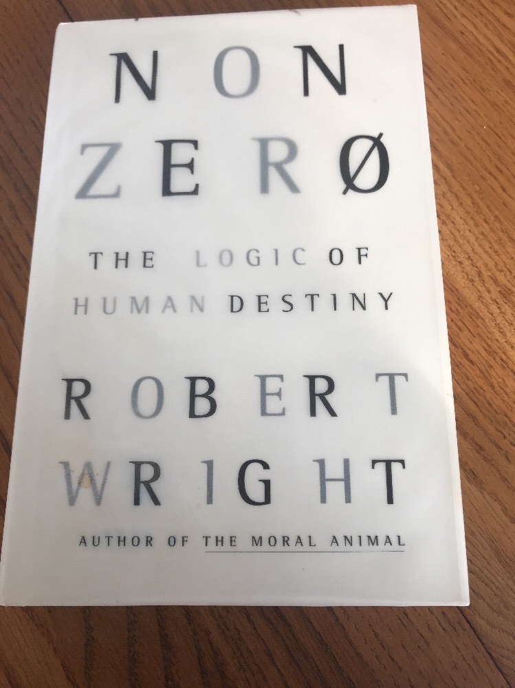 Nonzero : The Logic of Human Destiny by Robert Wright Ships N 24h