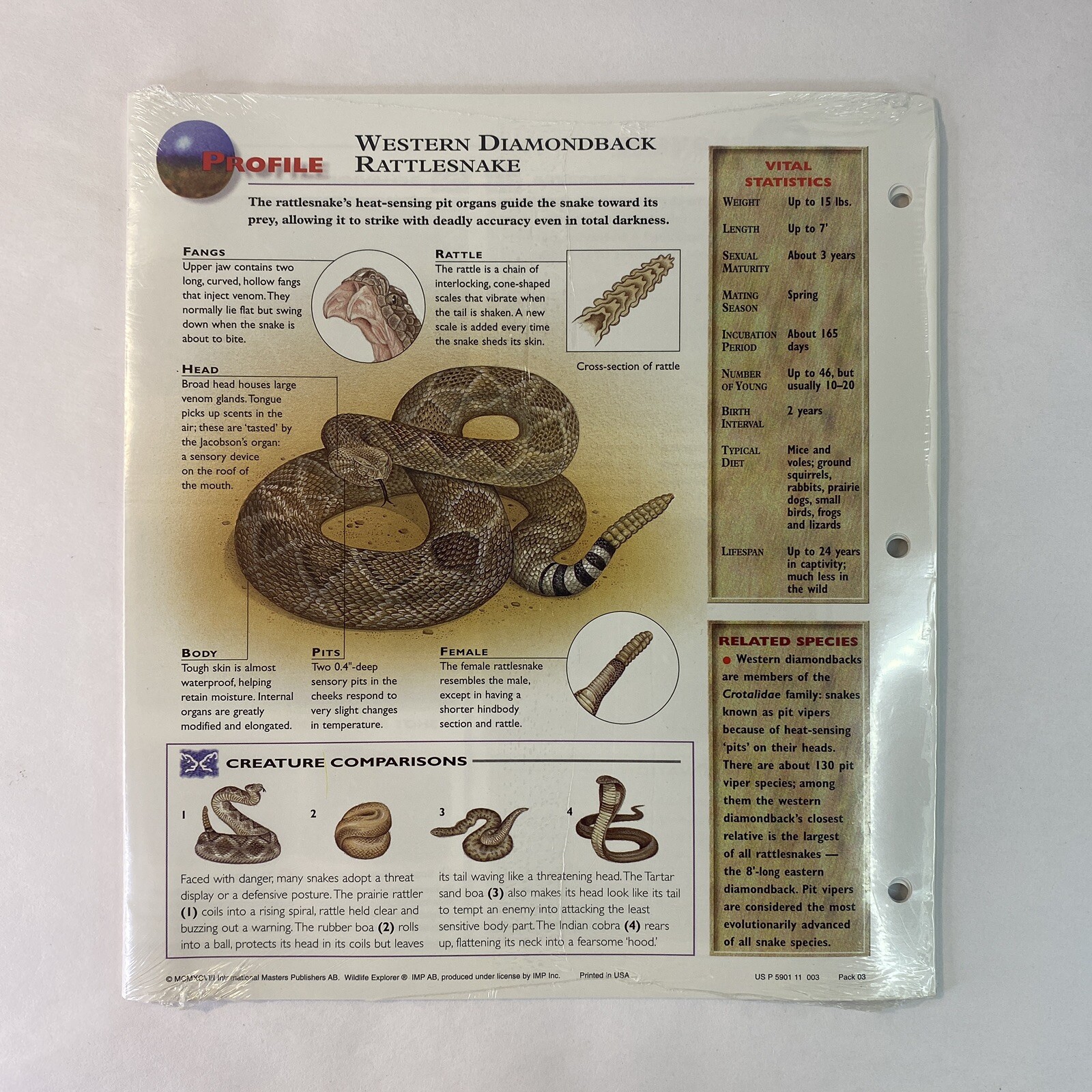 Wildlife Explorer Study Guides – Sealed Pack #03 – 12 Pages – New