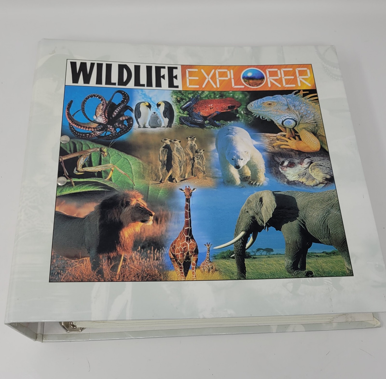 Wildlife Explorer Binder Mammals & Birds Animal Resource Book