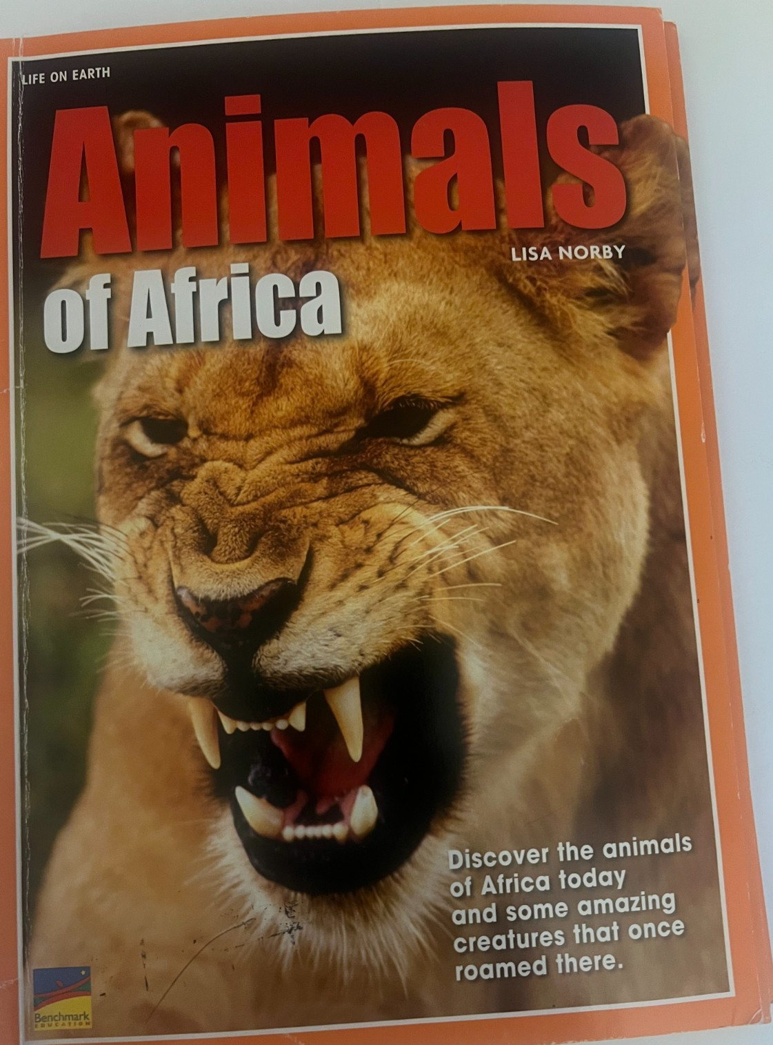 Animals of Africa Student Books (4) + Teacher Guide | Benchmark Education | Scie