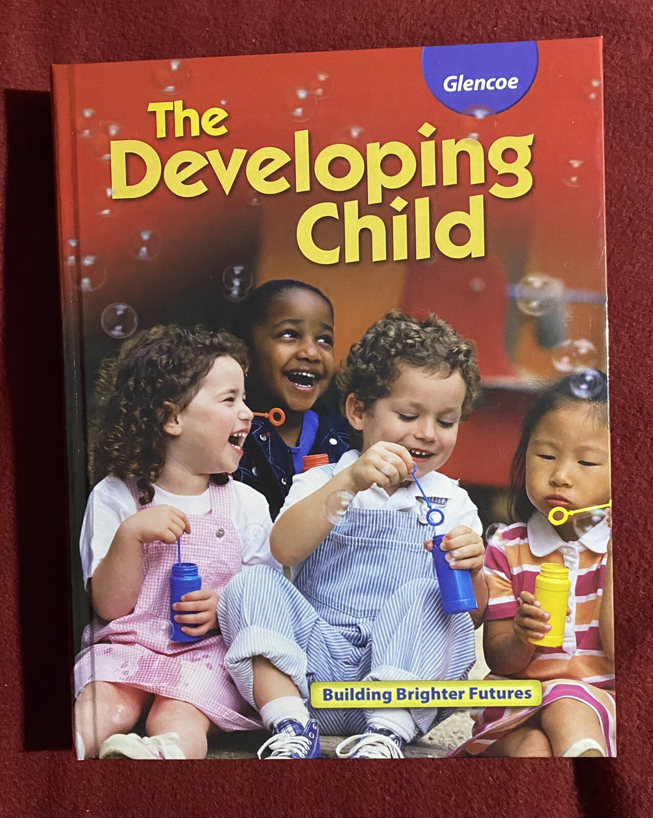 The Developing Child: Building Brighter Futures by McGraw-Hill Education: New