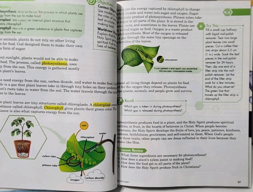 Purposeful Design Science – Grade 4th 3rd Edition Student Book Brand New ACSI