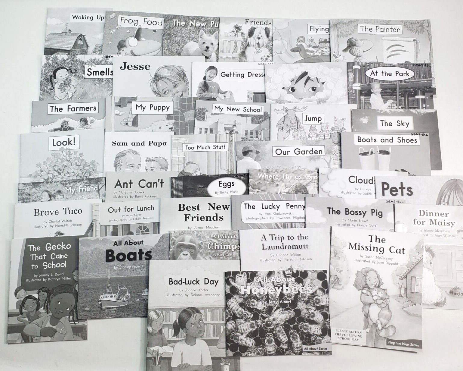 Lot of 40 Fountas & Pinnell LLI Green System Levels A-J Leveled Readers Grade 1