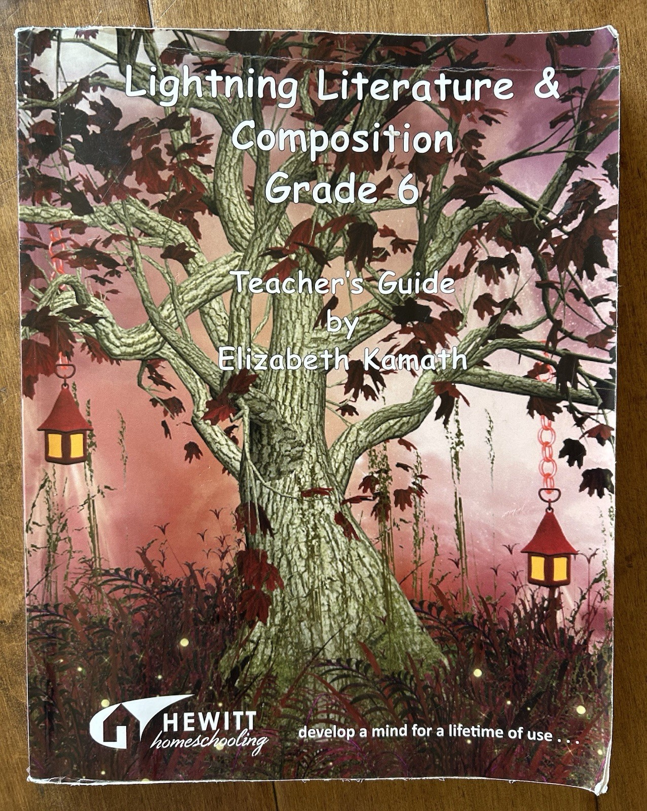 Lightning Literature & Composition Grade 3 Teacher’s Guide Elizabeth Kamath 2015