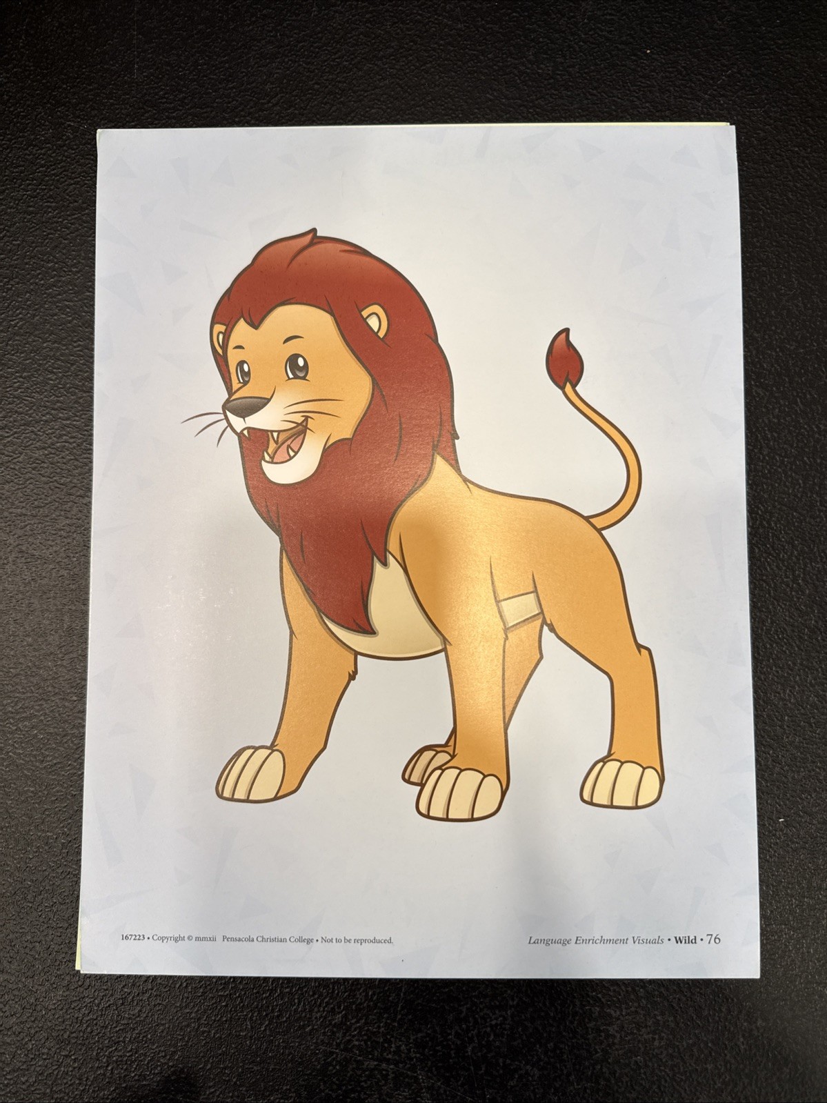 Abeka Language Enrichment Visuals- K4 & K5 Preschool & Kindergarten Flashcards