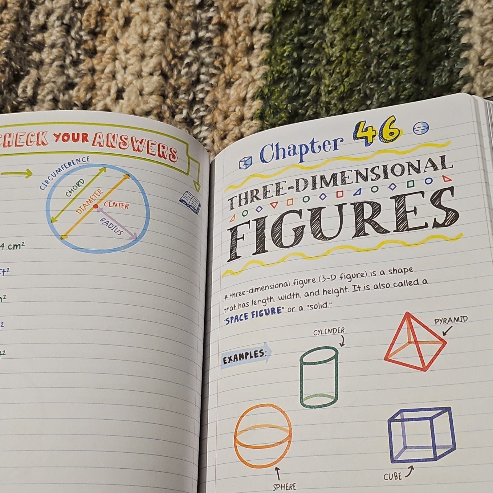 Workman Publishing Everything You Need to Ace Math Study Guide Middle School