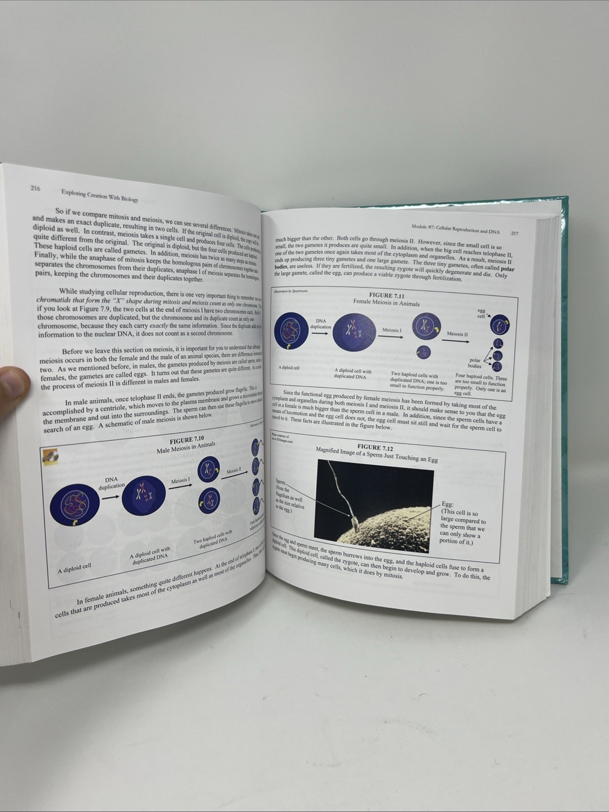 Exploring Creation with Biology : Student Text by Marilyn F. Durnell and Jay L.