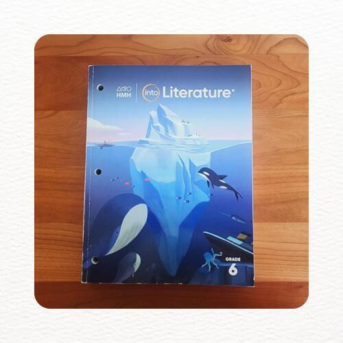 HMH Into Literature Grade 6 – Perfect Paperback – GOOD