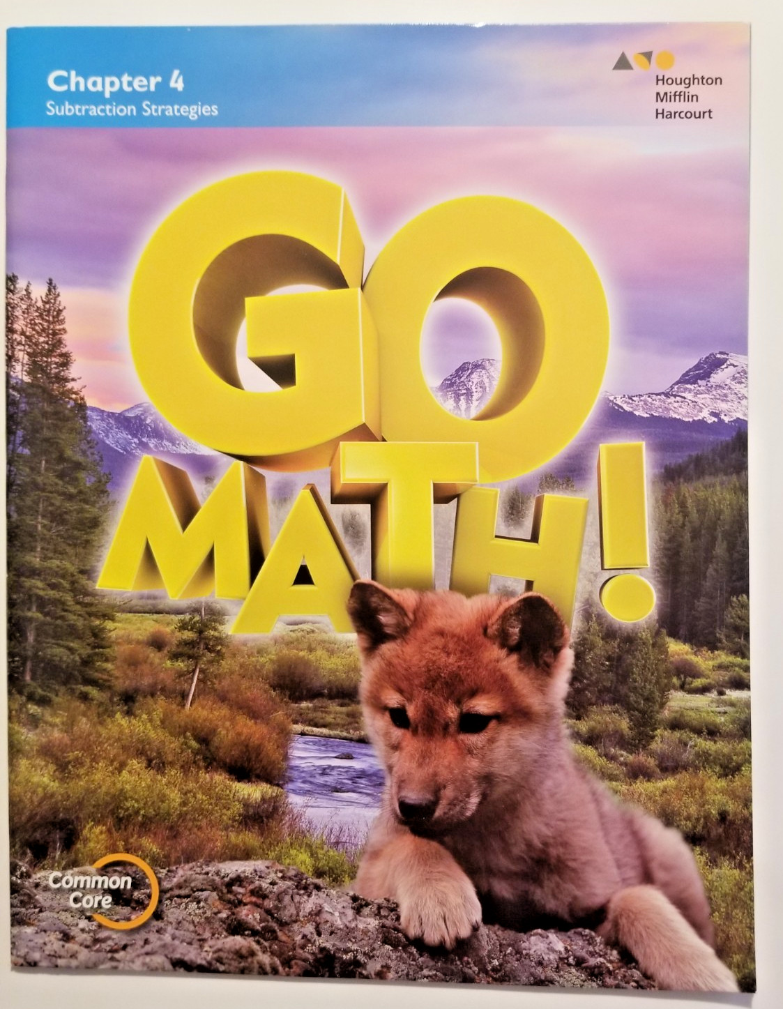 GO Math ! Grade 1 Chapter 4 Subtraction Workbook Learning Homeschool
