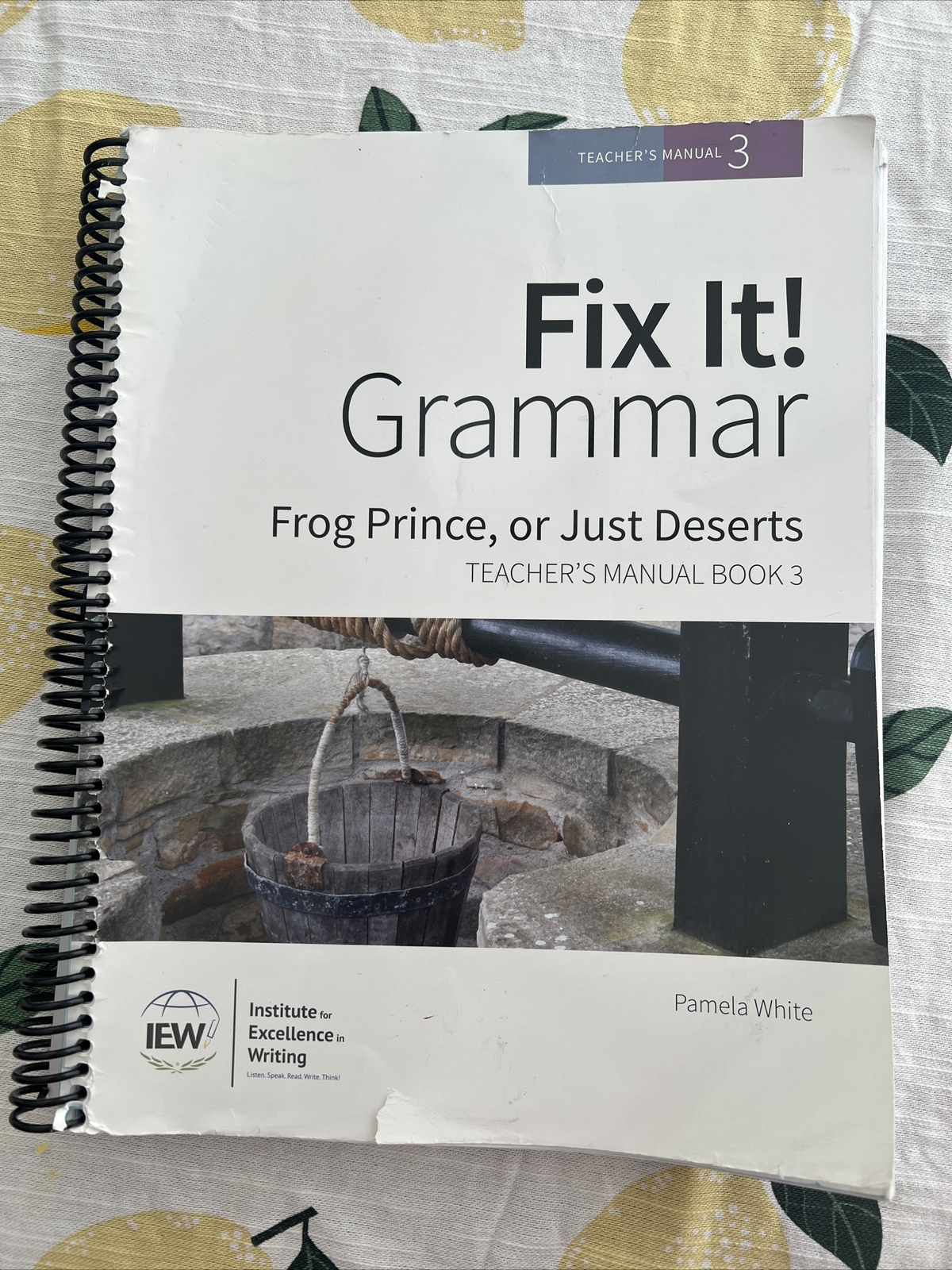Fix It! Grammar: Robin Hood, Teacher’s Manual Book Level 3 by Pamela White…