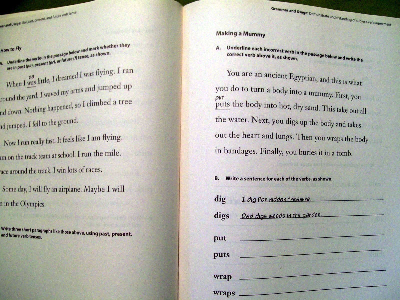 Being A Writer Student Skill Practice Book Grade 2 by Developmental Studies