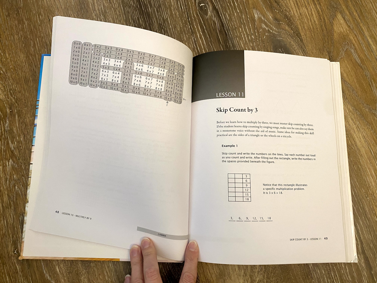 Math U See Gamma Set – Multiplication – Instruction Manual, DVD, & Some Tests