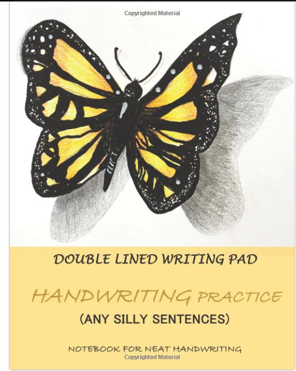 DOUBLE LINED WRITING PAD HANDWRITING PRACTICE (ANY SILLY SENTENCES) NOTEBOOK
