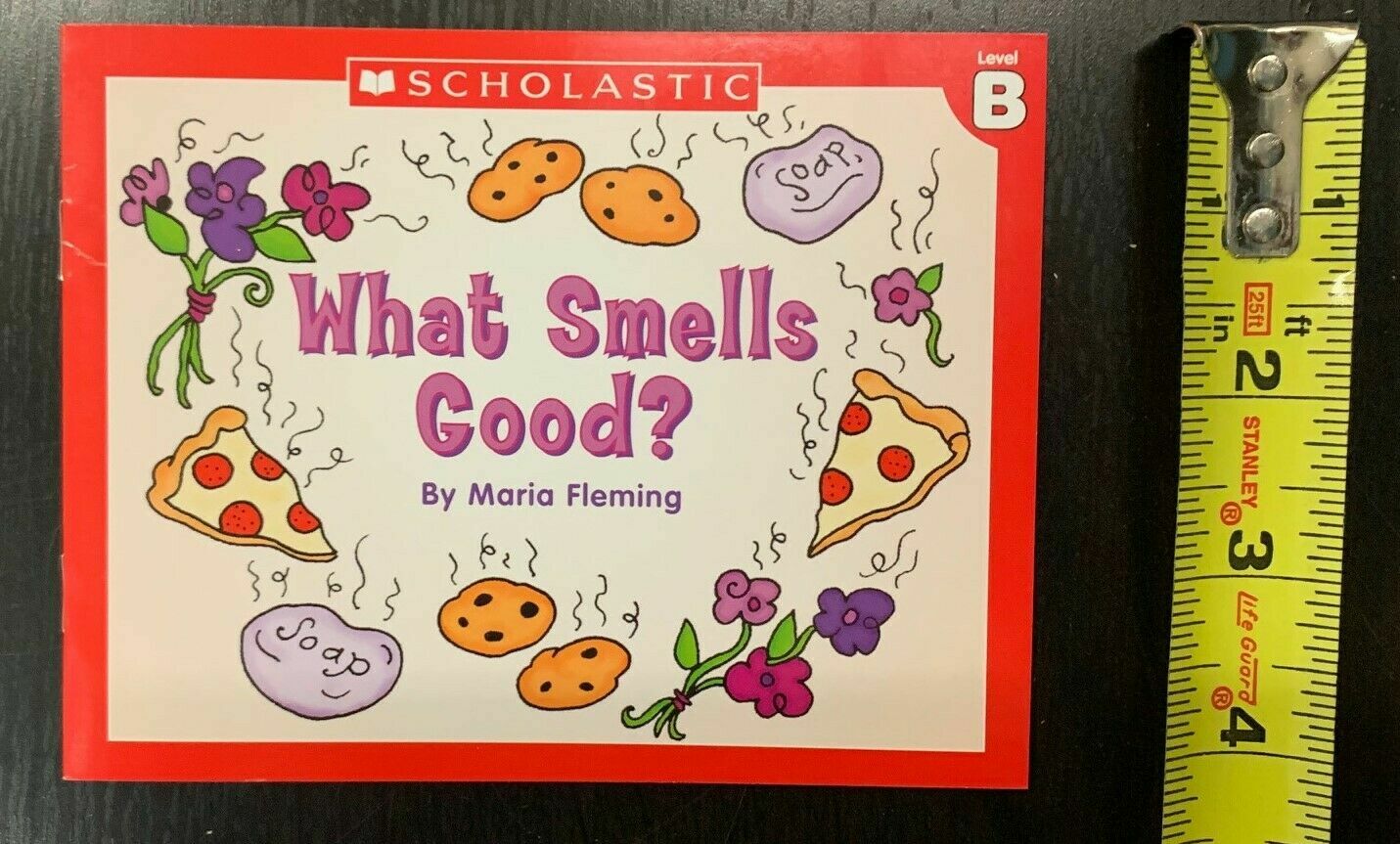 Scholastic Little Leveled Readers Level A, B, C, D Complete 60 Books Set Phonics