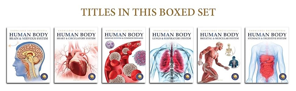 Human Body Box Set: Knowledge Encyclopedia For Children Set of 6 Book in English