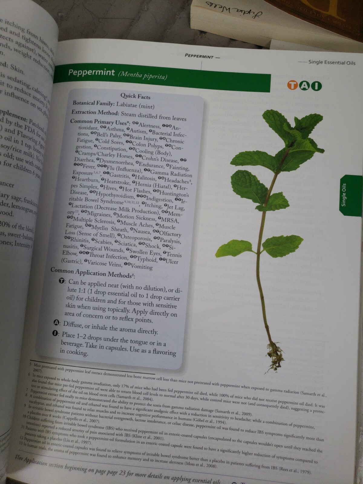 Modern Essentials Hardback 5th Edition Oils Usage Holistic Natural Health NEW