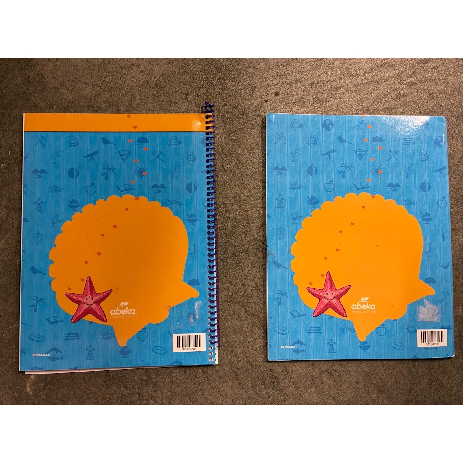 Abeka Reading Program Reading Comprehension 3 Skill Sheets & Answer Key