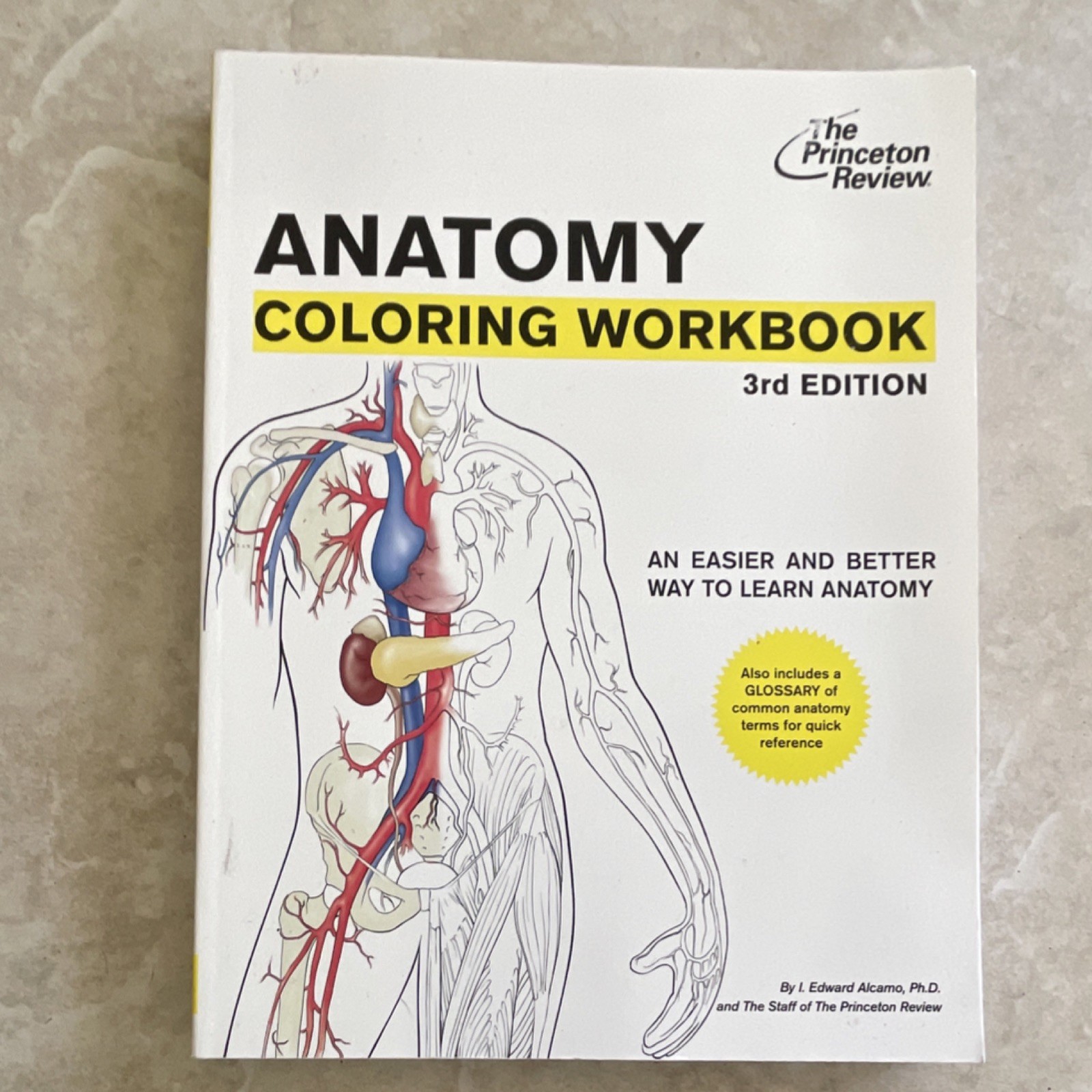 The Princeton Review Anatomy Coloring Workbook 3rd Edition Illustrated Glossary