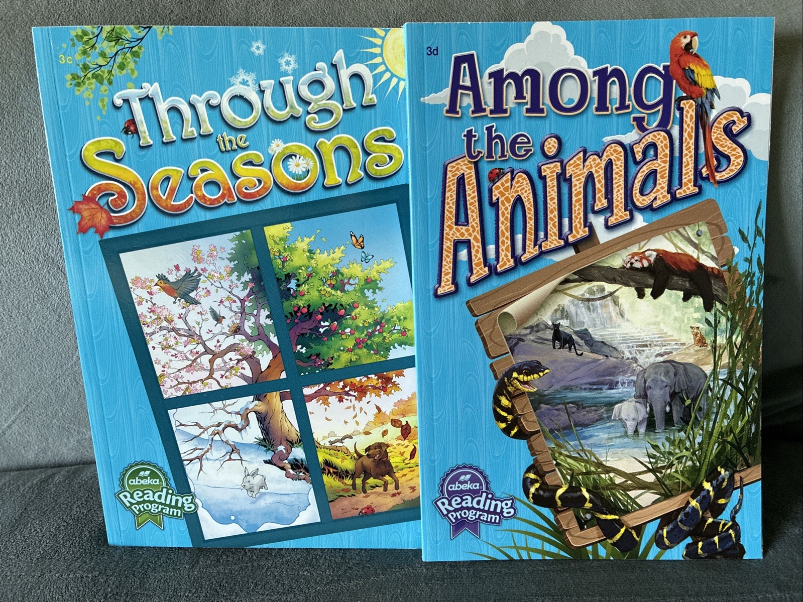 3rd Grade Readers – Abeja