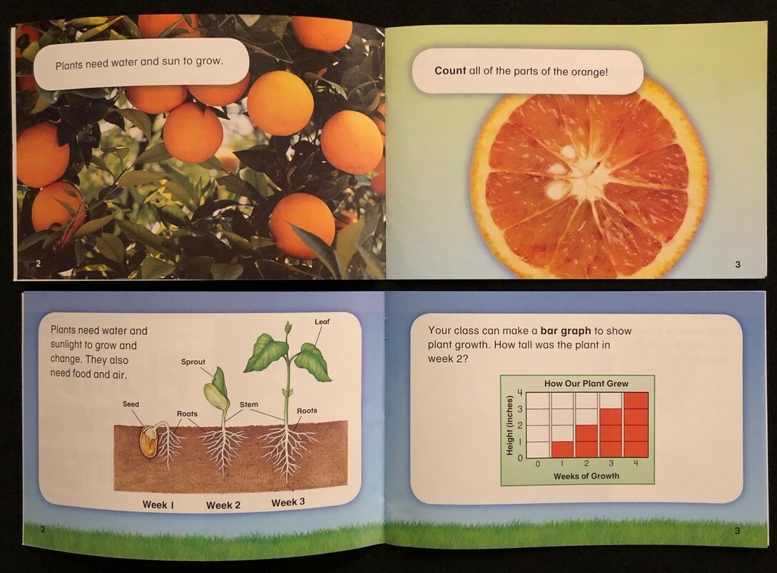 1st – REAL-WORLD PROBLEM SOLVING (Math/Science & Math/Social Studies) ON GRADE
