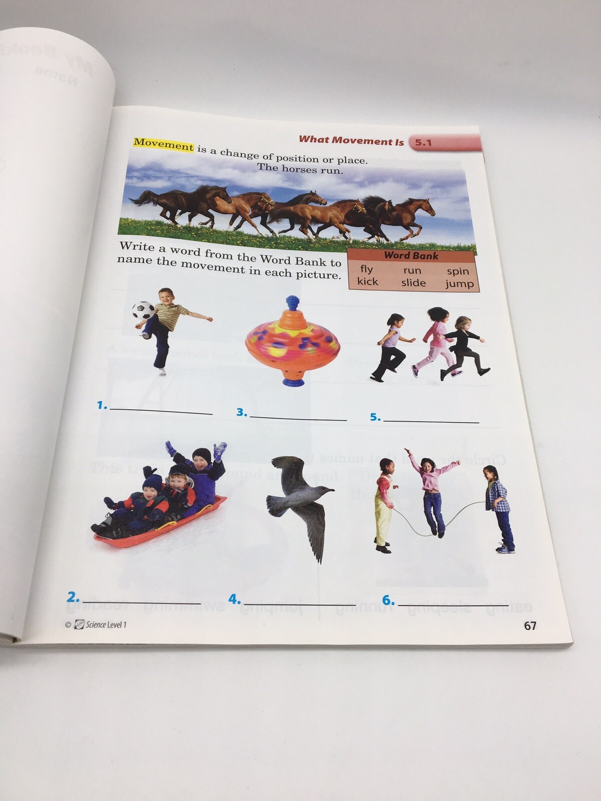 Purposeful Design Science 1 Student Workbook, 1st GR, Homeschool / School