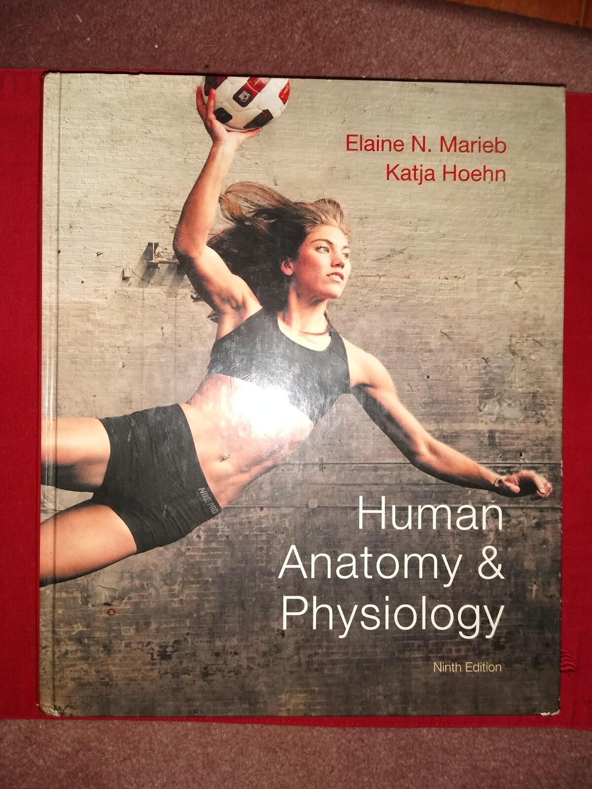 Human Anatomy & Physiology Marieb and Hoehn 9th Edition Hardcover
