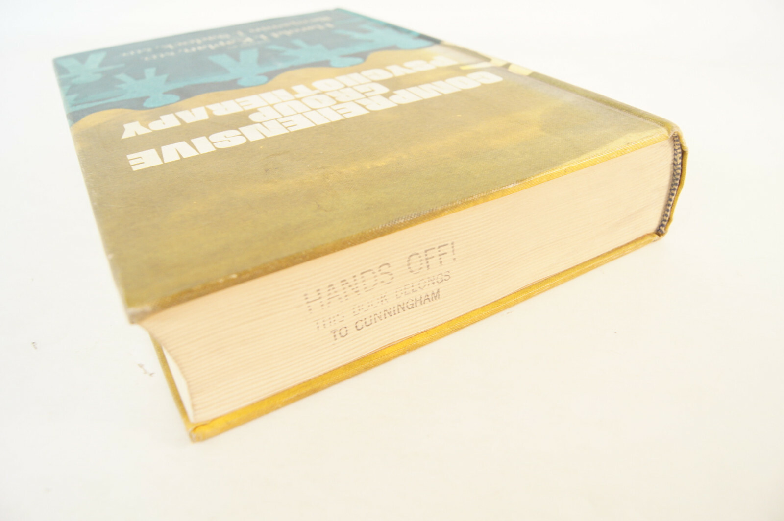 Comprehensive Group Psychotherapy Harold I Kaplan 1971 Vintage HC Book 70-155935
