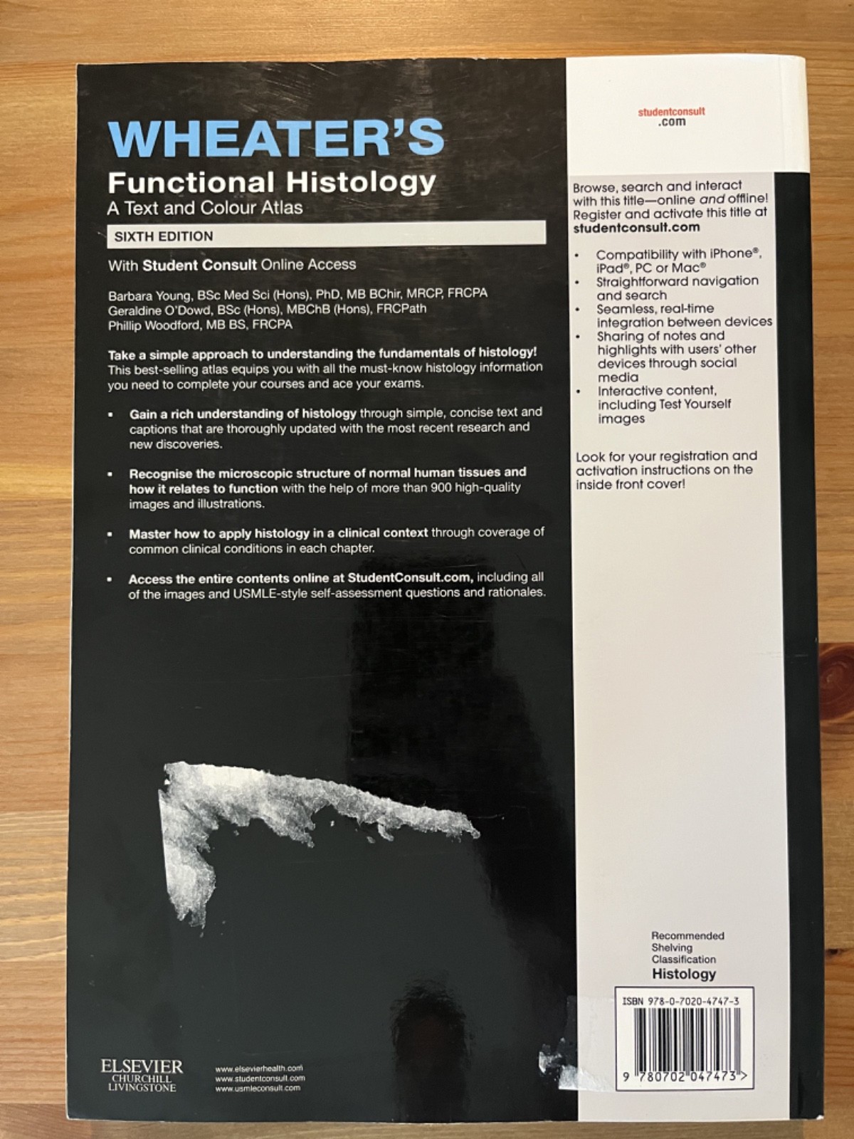 Wheaters Functional Histology 6th Edition