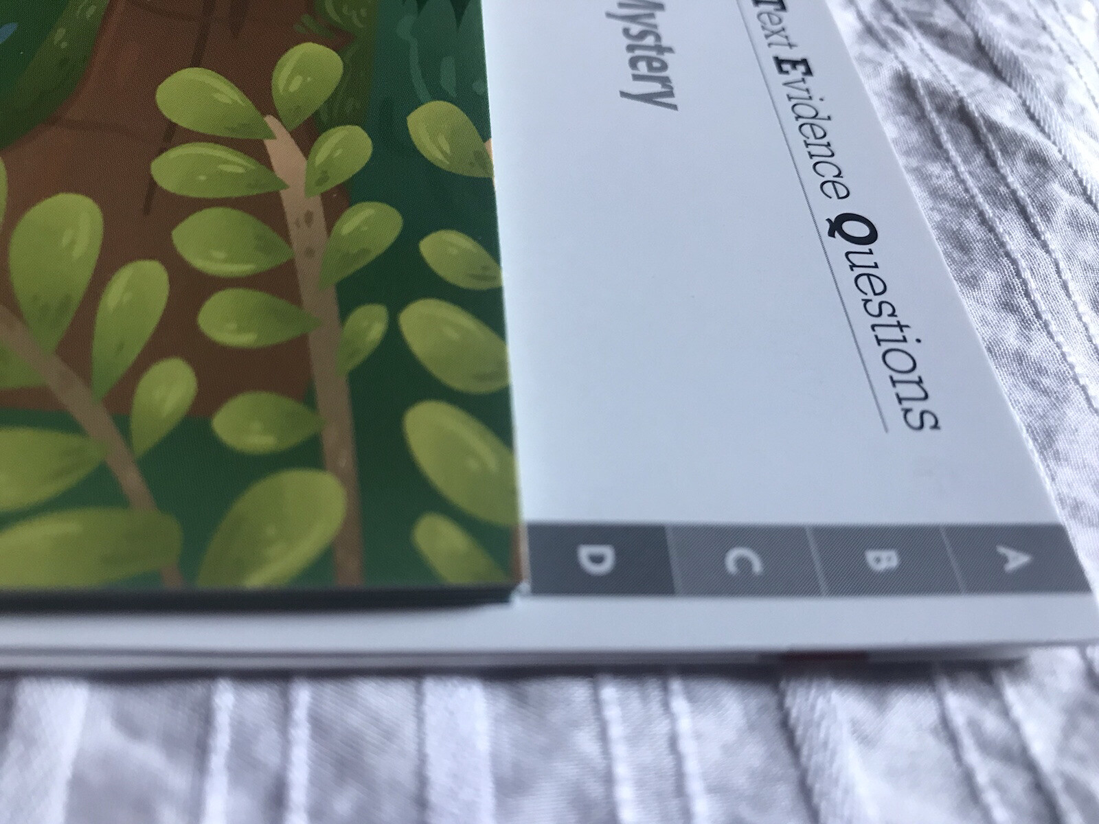 Benchmark Education Grade 3 Unit 1: Rain Forest Mystery – Cynthia Clampitt