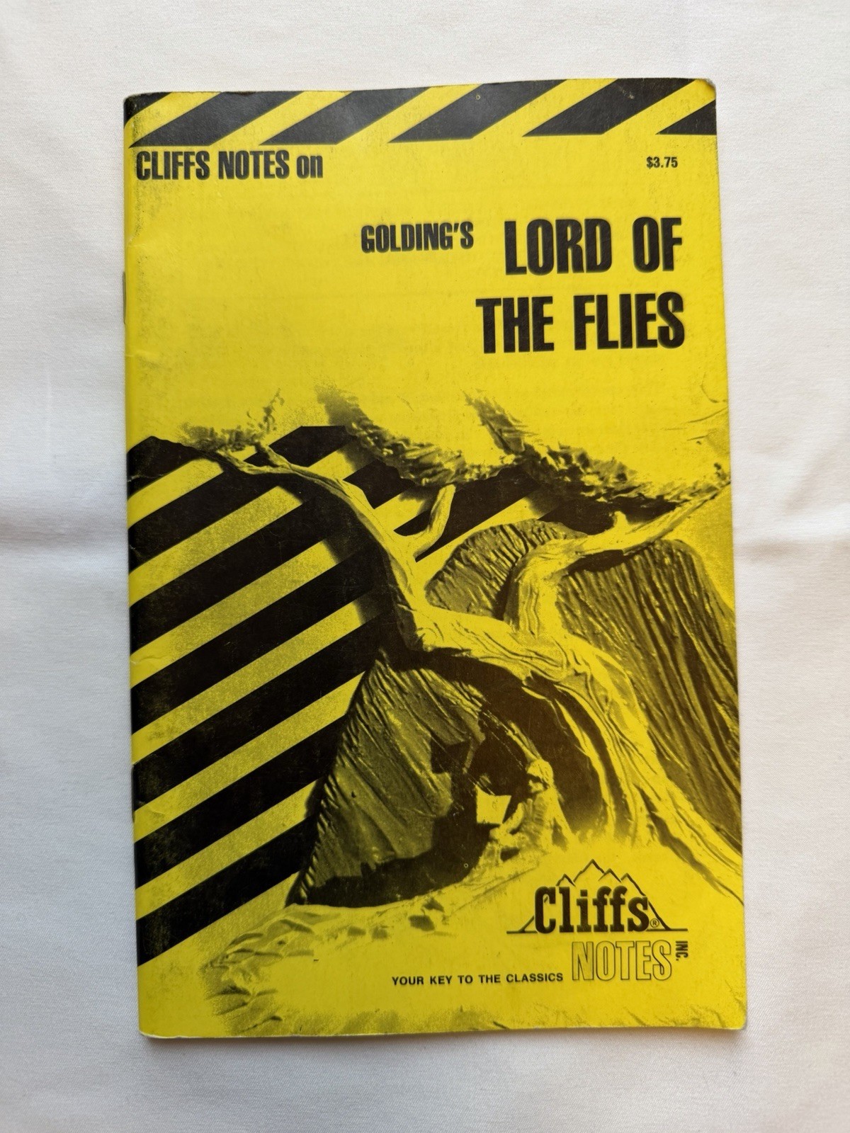 Cliffs Notes Golding’s Lord of the Flies Revised Edition Paperback Study Guide